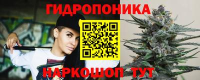 apvp Севастополь