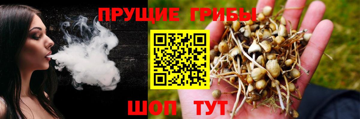 Сарапул  Псилоцибиновые грибы Psilocybine cubensis  Псилоцибиновые грибы GOLDEN TEACHER  Вход с VPN 